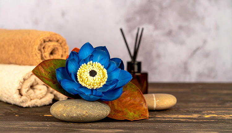 Experiência Protea Masculina - Massagem Ayurvédica e Liberação Miofascial Lumevié